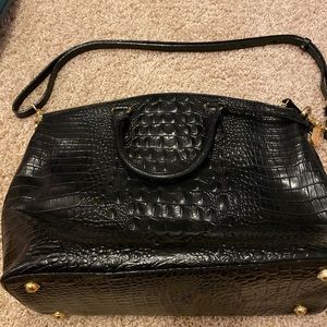 Brahmin
Large black